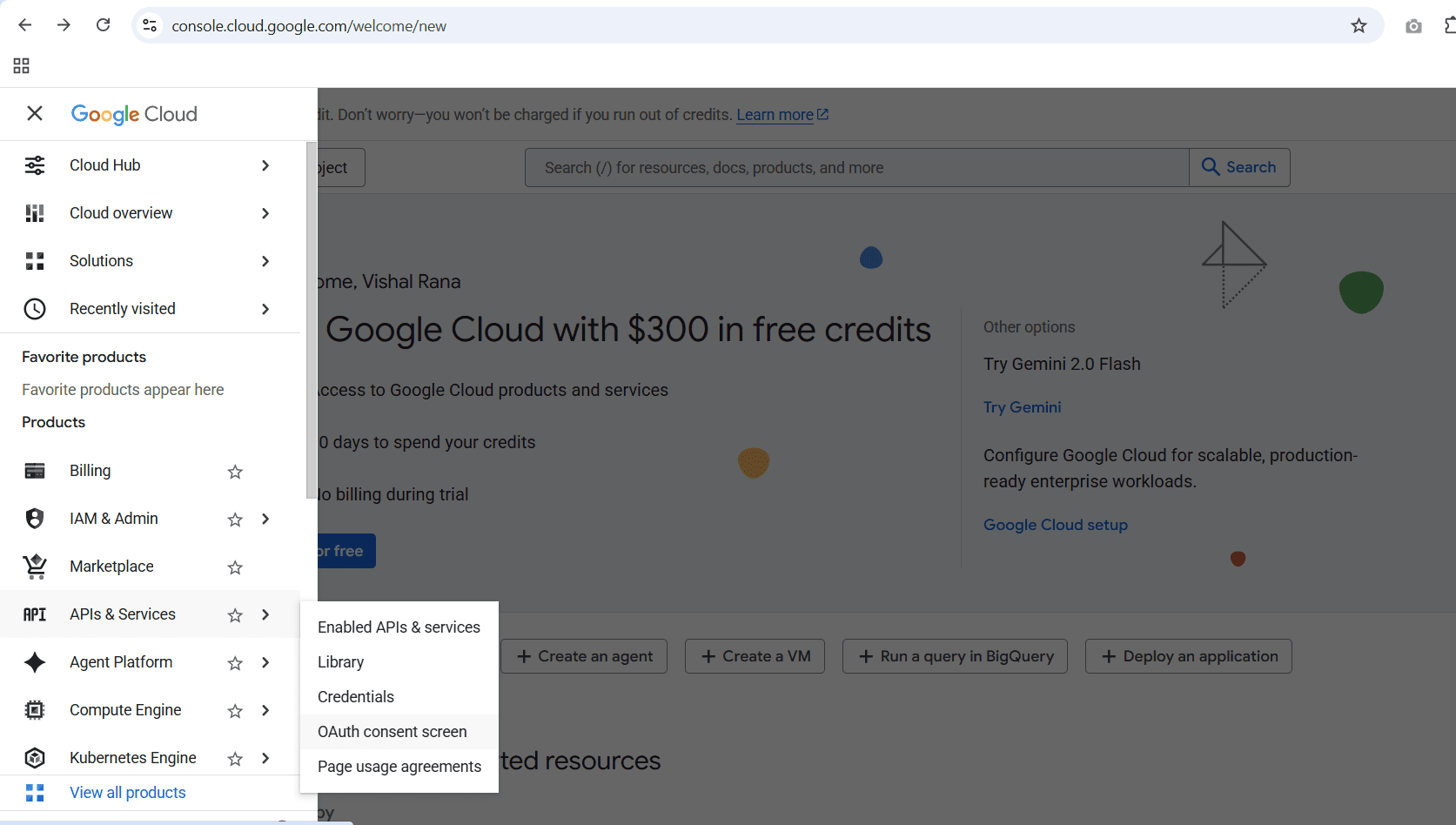 Google cloud console API service setting